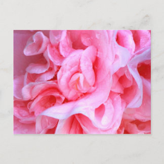 Cartão Postal O amor é_