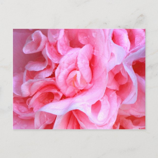 Cartão Postal O amor é_ (Frente)