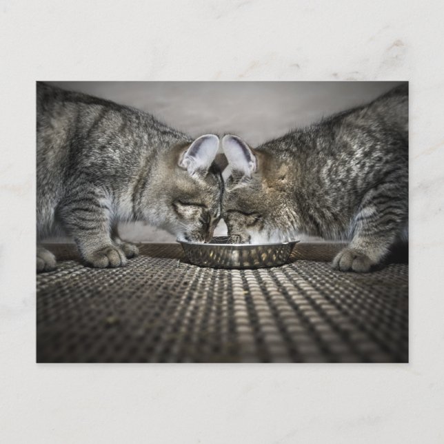 Cartão Postal o amor é... compartilhar (Frente)