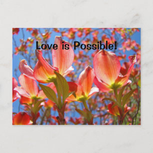 Cartão Postal O amor é Possível! cartões-postais Flores de Dogwo