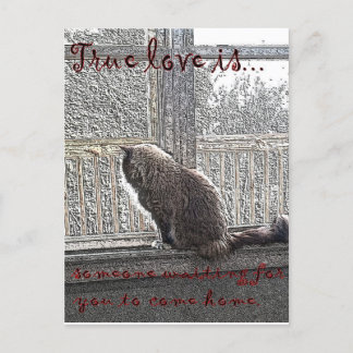 Cartão Postal o amor está esperando