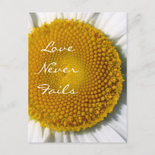 Cartão Postal O Amor Nunca Falha Daisy 1 Coríntios 13