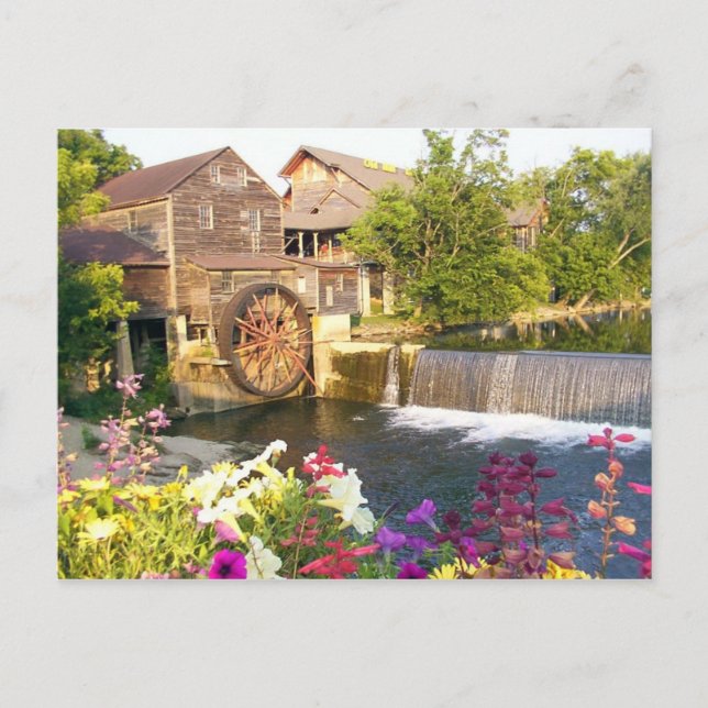 Cartão Postal O Antigo Monte (Frente)