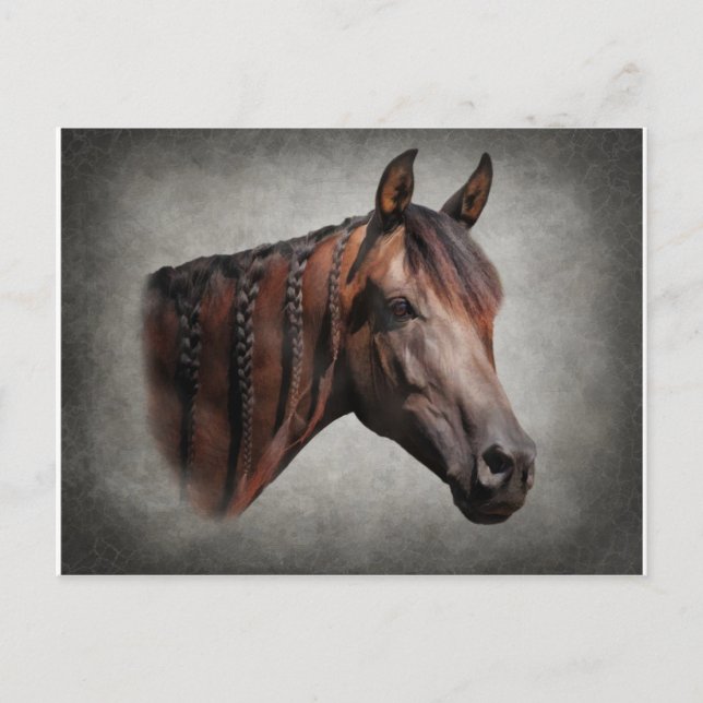 Cartão Postal O árabe (Frente)