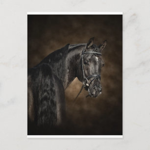 Cartão Postal O árabe