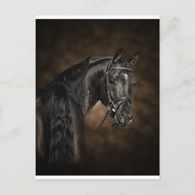 Cartão Postal O árabe (Frente)