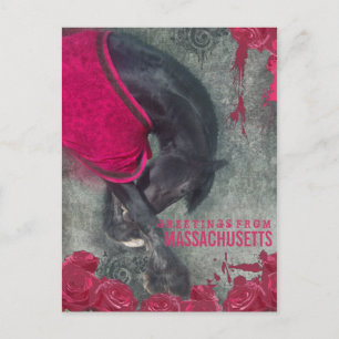 Cartão Postal O Arco - Cartão-postal