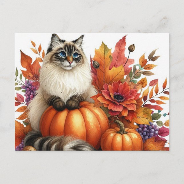 Cartão Postal O Autumn Deixa Pumpkins e Ragdoll Cat Postcard (Frente)