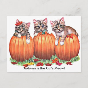 Cartão Postal O Autumn é o Cartaz do Moinho do Gato