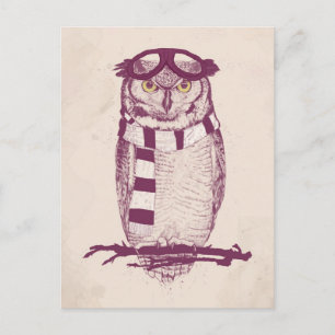 Cartão Postal O aviador