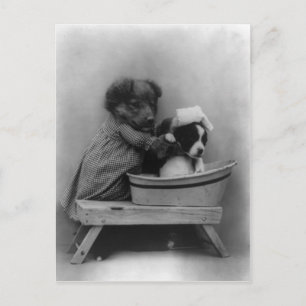 Cartão Postal O Banho