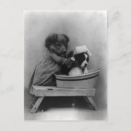 Cartão Postal O Banho