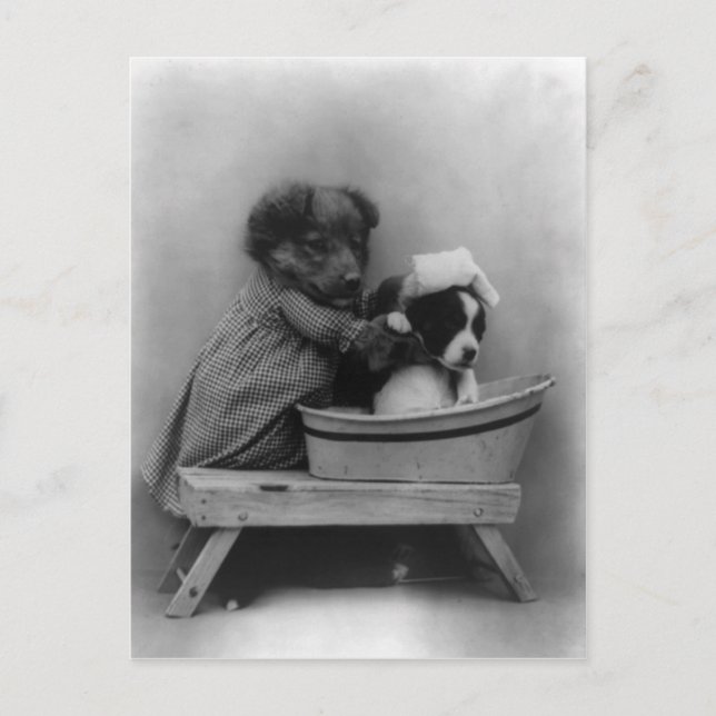 Cartão Postal O Banho (Frente)