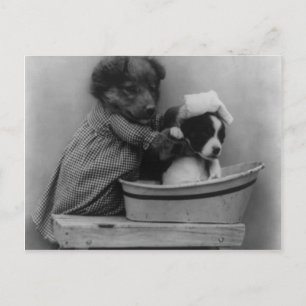 Cartão Postal O Banho