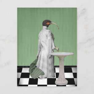 Cartão Postal O Banho da Senhora