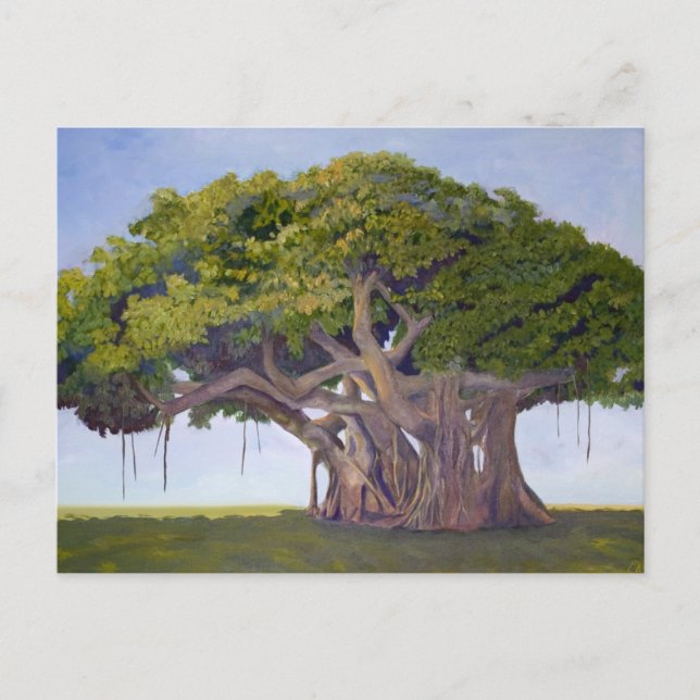 Cartão Postal O Banyan de MacArthur (Frente)