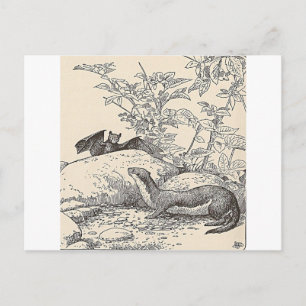 Cartão Postal O Bat e a Mente