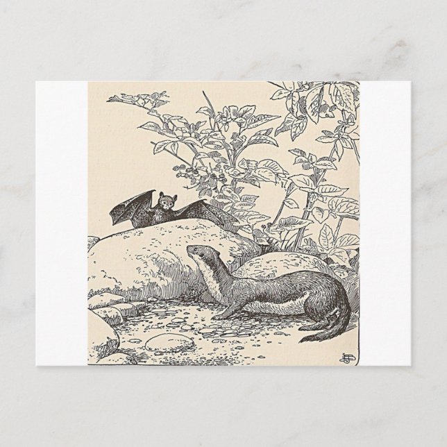 Cartão Postal O Bat e a Mente (Frente)