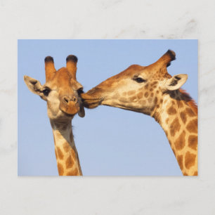 Cartão Postal O Beijo