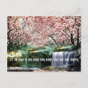 Cartão Postal O Blossom da Cereja da Paz