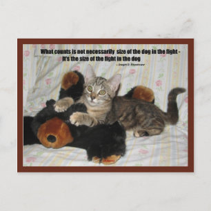 Cartão Postal O caçador de Excelentes