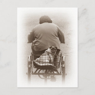 Cartão Postal O Cachorro E O Cachorro Vão Para Um Cartão-Postal