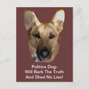 Cartão Postal O Cachorro German shepherd Da Política Irá Latid