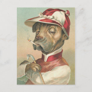 Cartão Postal O Cachorro Vintage