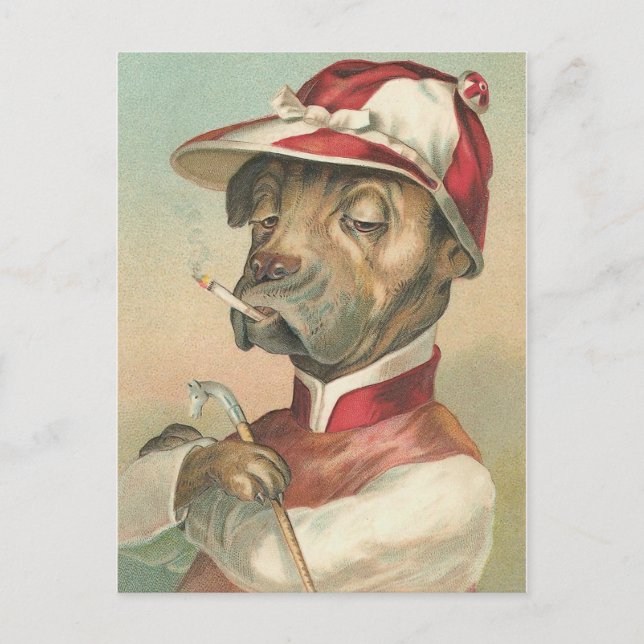 Cartão Postal O Cachorro Vintage (Frente)