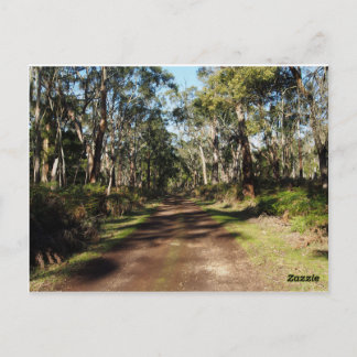 Cartão Postal O caminho a seguir