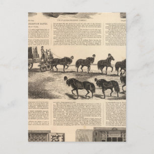 Cartão Postal O campeão de patentes do Herring Safes