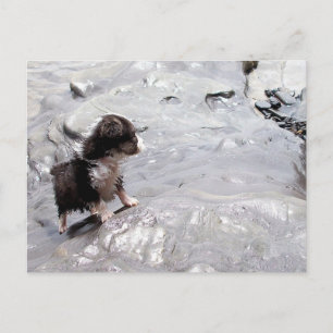 Cartão Postal O Cartão-postal de subida