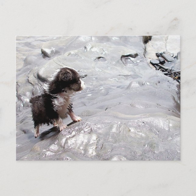 Cartão Postal O Cartão-postal de subida (Frente)