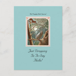 Cartão Postal O Cartão-postal do Esquilo Malvado