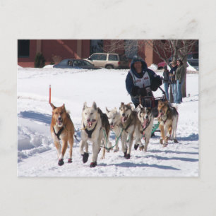 Cartão Postal O Cartão-postal final