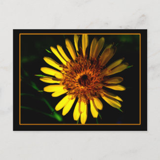 Cartão Postal O Cartaz