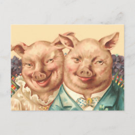 Cartão Postal O Casal bonito de porcos