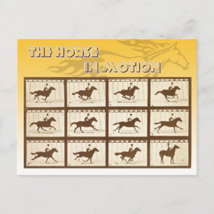 Cartão Postal O Cavalo em Movimento