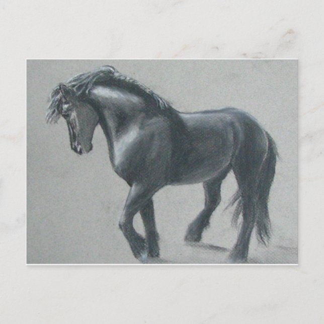 Cartão Postal O Cavalo Escuro (Frente)