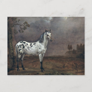 Cartão Postal O Cavalo Piebald, 1653