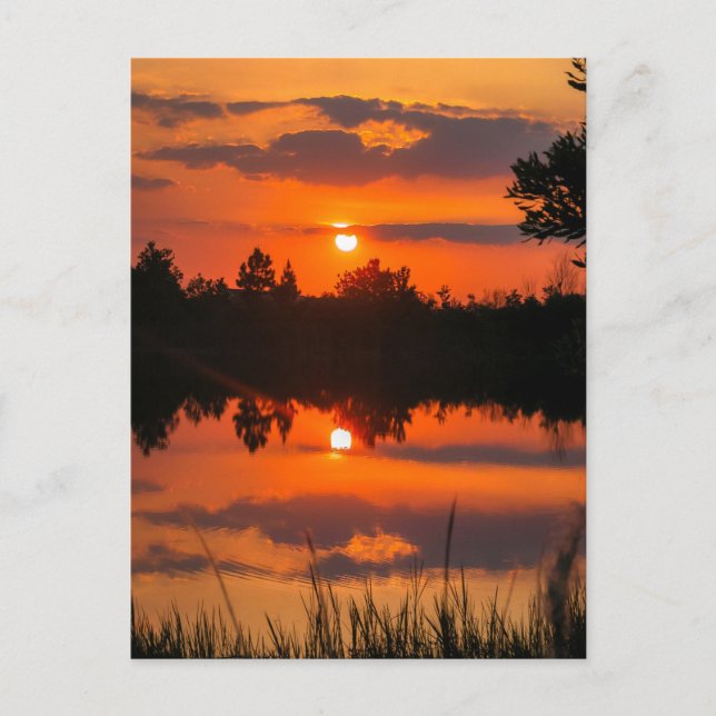 Cartão Postal O Céu da Flórida nº 5 (Frente)