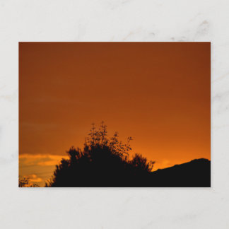 Cartão Postal O céu laranja