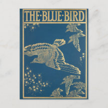 O cobrir azul do livro de aves-vintage