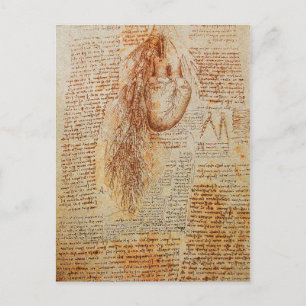 Cartão Postal O Coração e o Pergaminho das Artérias Bronquiais