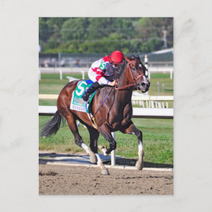 Cartão Postal O Cotillion 2016