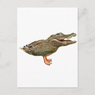 Cartão Postal O Crocoduck com pés