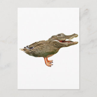 Cartão Postal O Crocoduck com pés