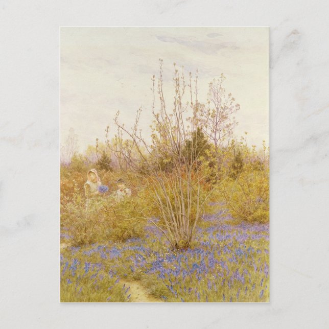 Cartão Postal O Cuco (Frente)