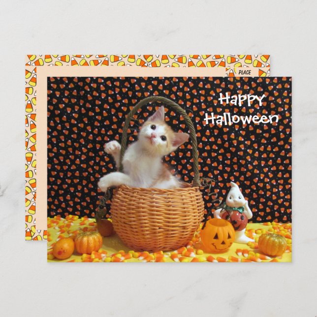 Cartão Postal O Curioso Gato de Halloween da Annie (Frente/Verso)