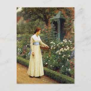Cartão Postal O destino da pintura a óleo de Rosa